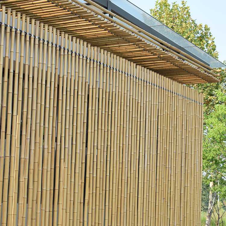 竹竿装饰装修竹子屏风隔断栅栏庭院花园搭架楠竹防腐竹竿舞毛竹
