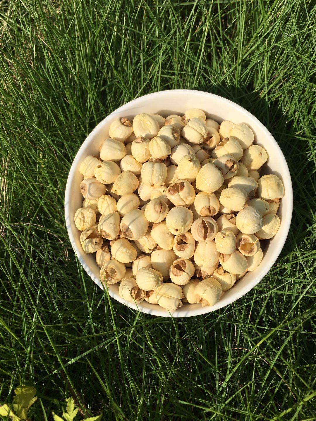 福建武夷山五夫优质去芯白莲干货农家自产不熏硫,香,糯,500克