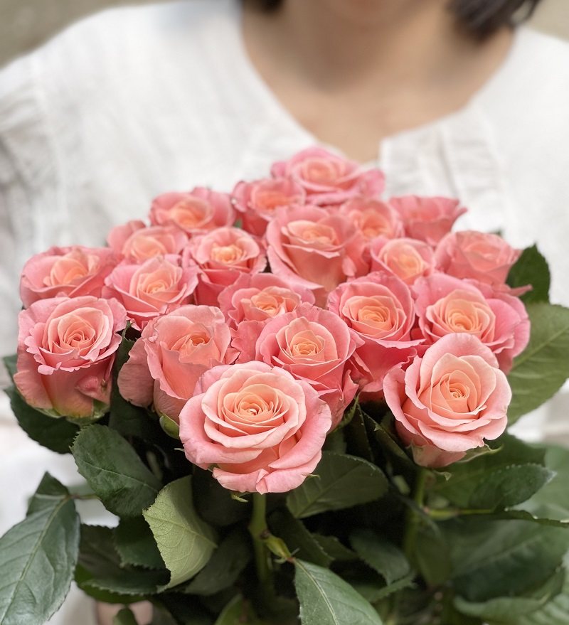 玫瑰小姐新鲜玫瑰花朱小姐花苞单头云南昆明鲜花鲜花速递(同城)