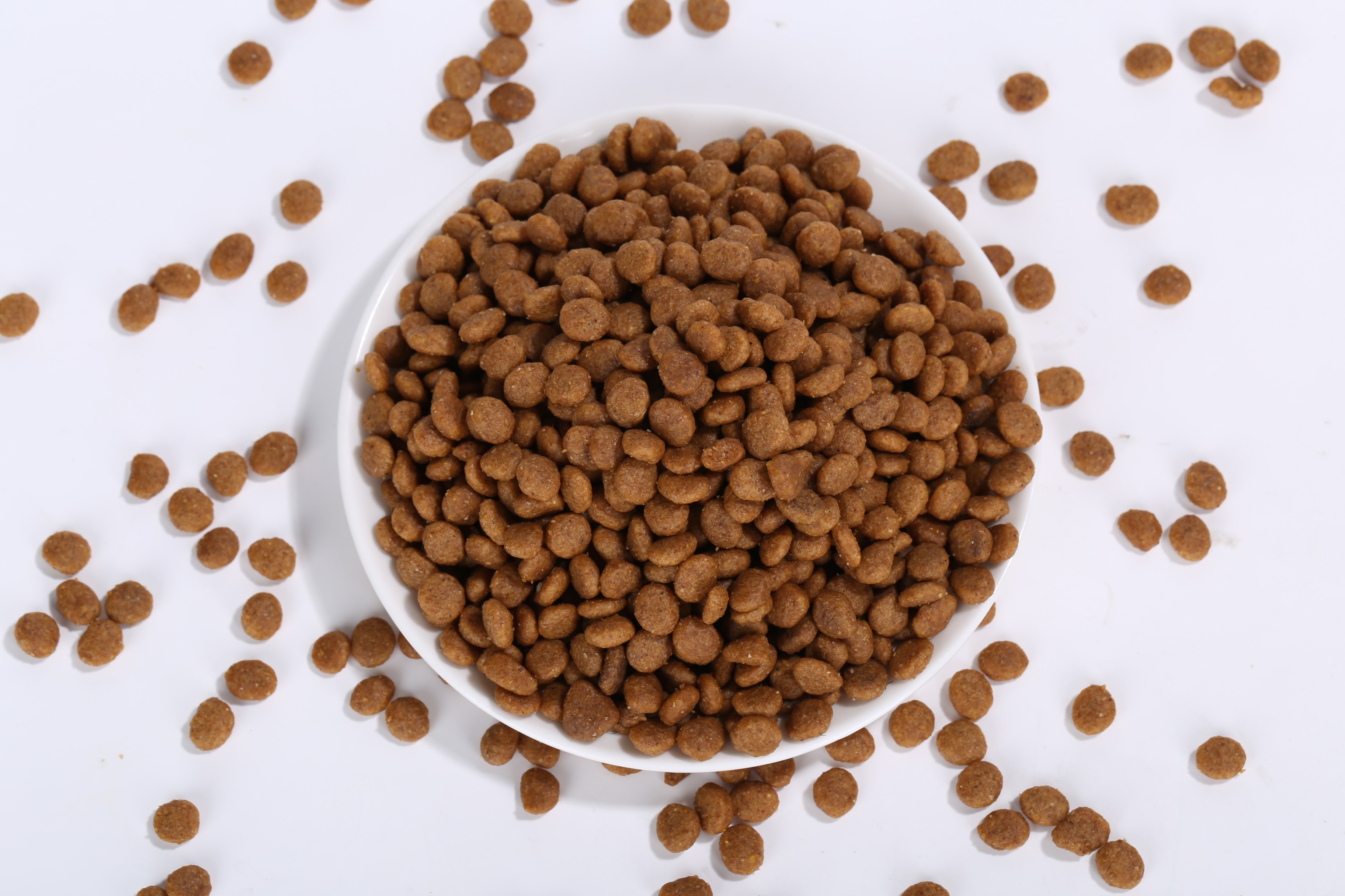 狗粮通用型5斤装泰迪拉布拉多金毛八哥比熊博美专用幼犬小型犬10