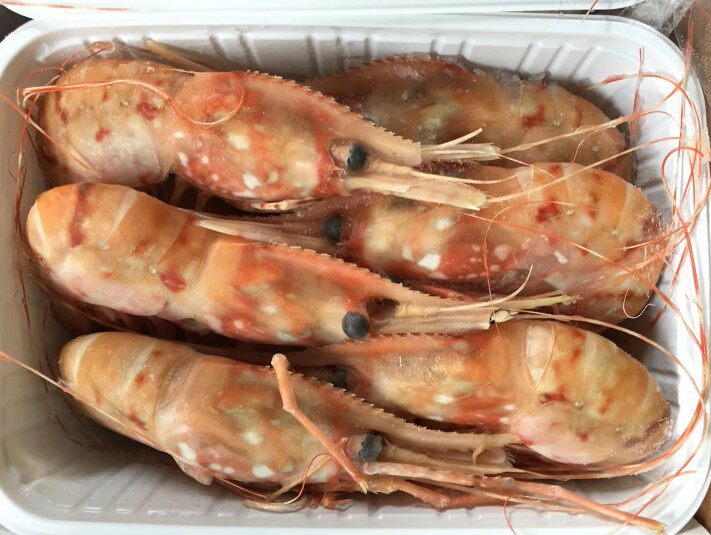 俄罗斯白牡丹2kg大号富山高背长额高档日料刺身包冻虾
