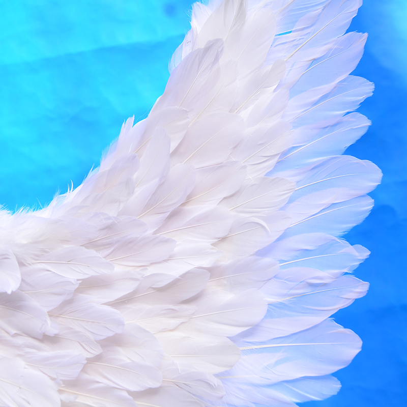 翅膀天使羽毛模特走秀影楼拍照橱窗装饰奶茶翅膀