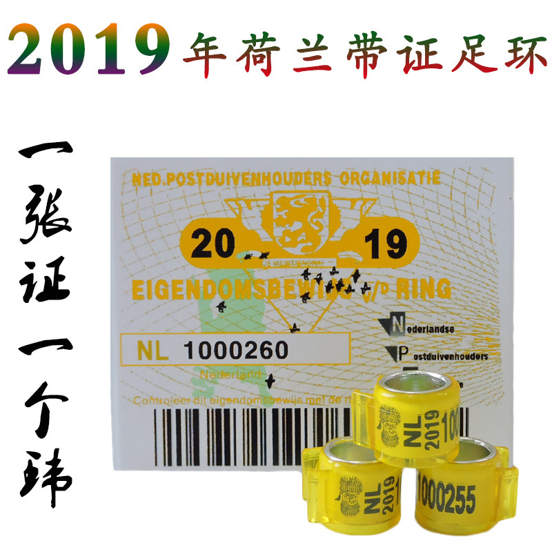 2019年荷兰比利时荷兰德国带证足环信鸽用品用具鸽子脚环外籍环