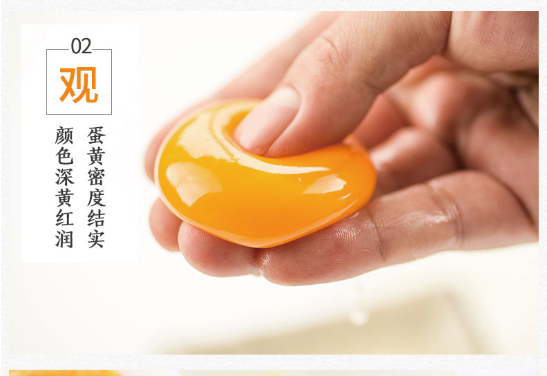 伊势卵新鲜鸡蛋 谷物粮食饲养营养鸡蛋可生食无菌蛋240枚 工业装