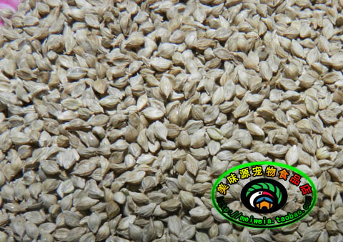 10件包邮鸟食稗子草籽克金青黄芙蓉鸟白玉文鸟食