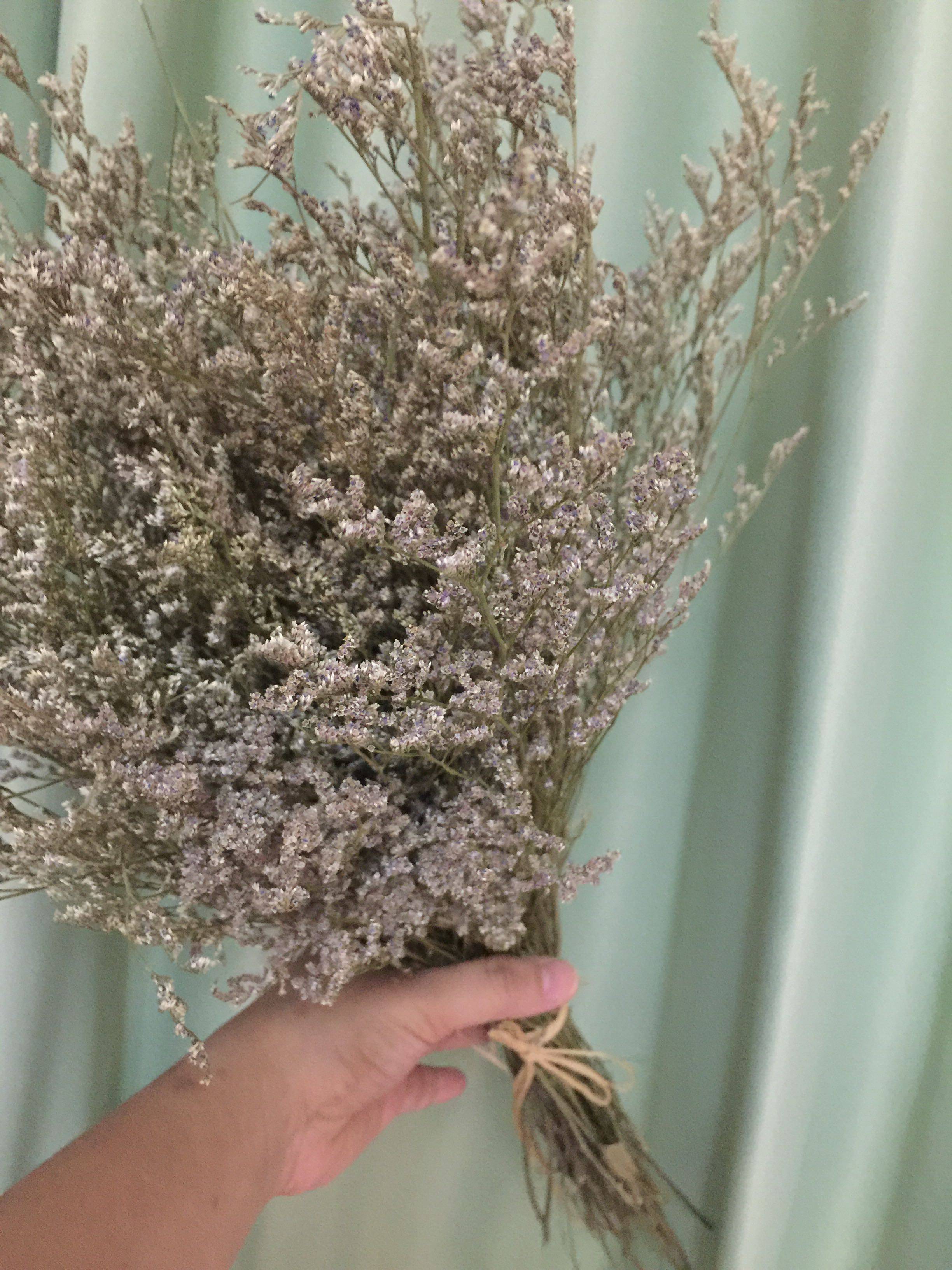 一大情人草云南天然干花家居摆件拍摄道具神器干花