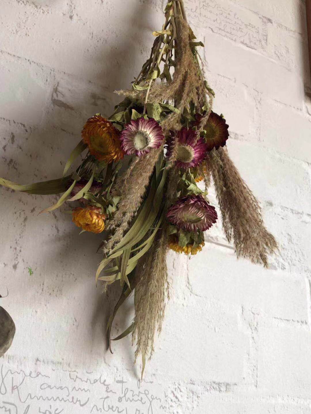 云南天然风大吊挂干花花束雏菊芦苇小米叶倒干花