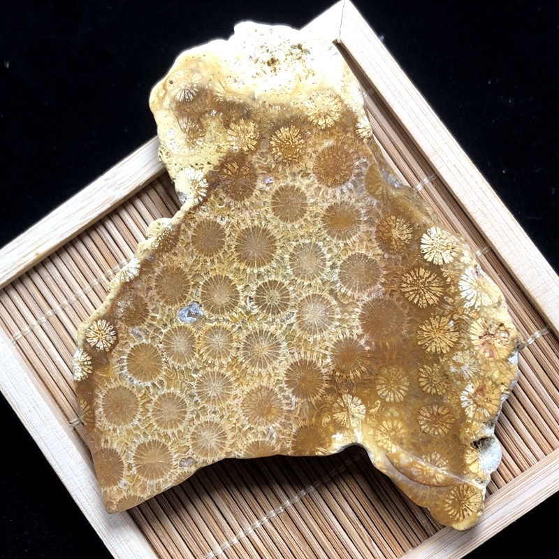 印尼原矿天然珊瑚原石矿料摆件菊花玉石手把摆件