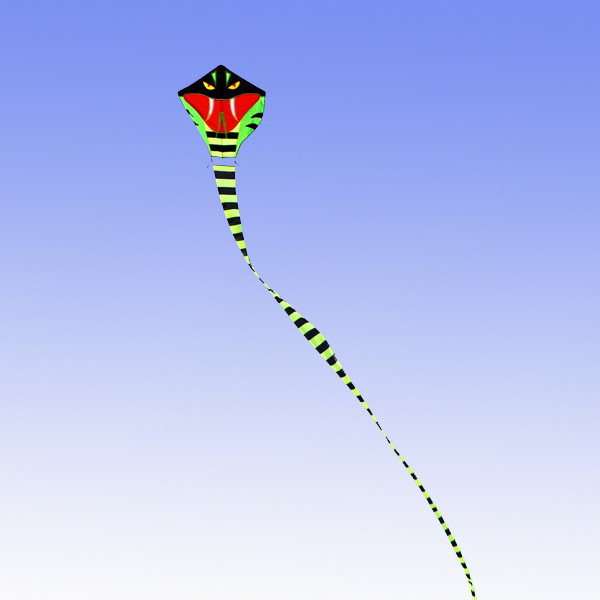 包邮潍坊杨家埠2020大型巨型成人新款美女蛇蛇风筝