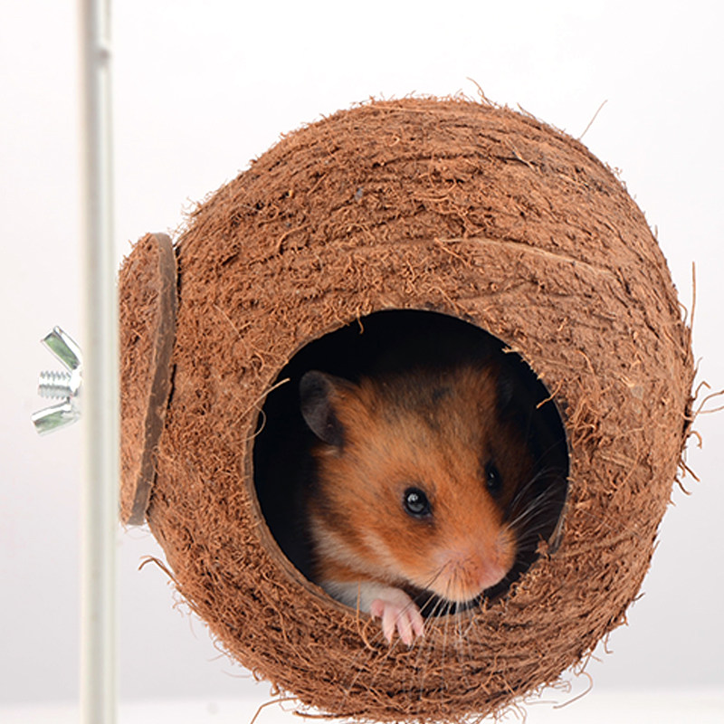 鼠窝包邮天然椰子吊窝仓鼠松鼠蜜袋鼯窝金丝熊窝