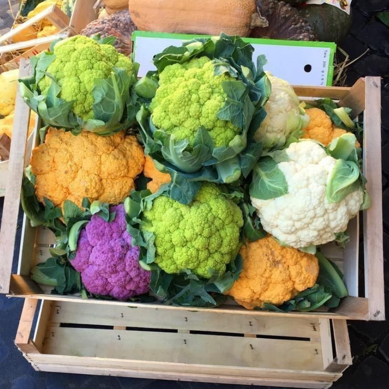 彩色彩色花花椰菜合集花菜盆栽蔬菜植物阳台种子家庭园艺种子