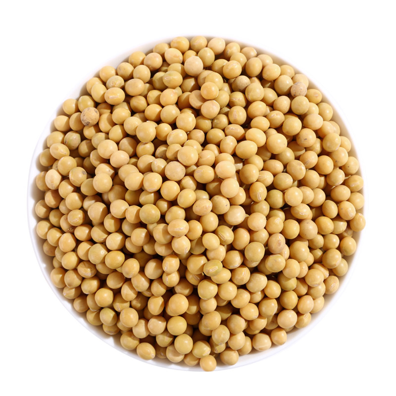 东北特产农家自种小粒黄豆500g袋非转基因芽豆生黄豆