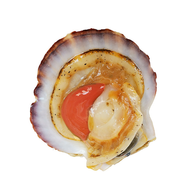 扇贝鲜活现捞当天超大夏夷贝王蒜蓉烧烤大虾扇贝