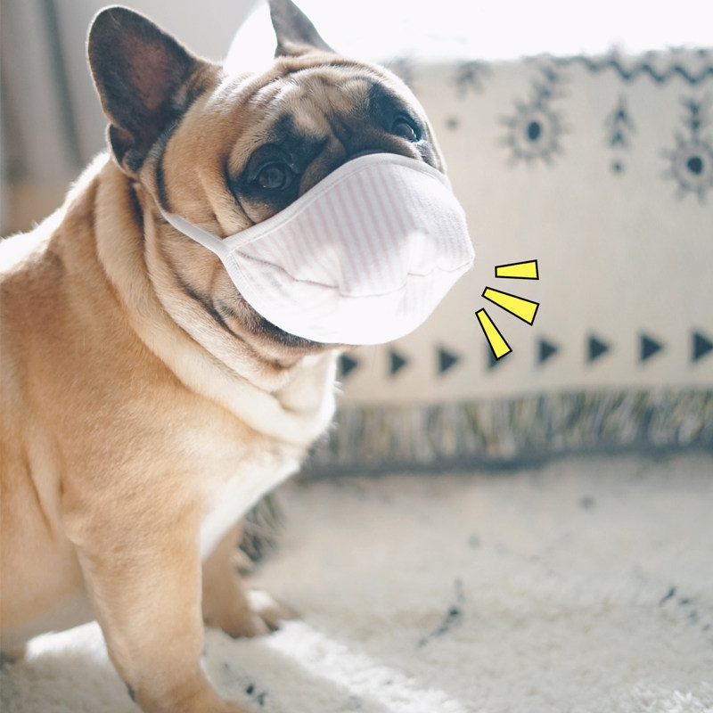 口罩狗狗宠物遛狗外出三层无纺布法斗泰迪大中小型嘴套