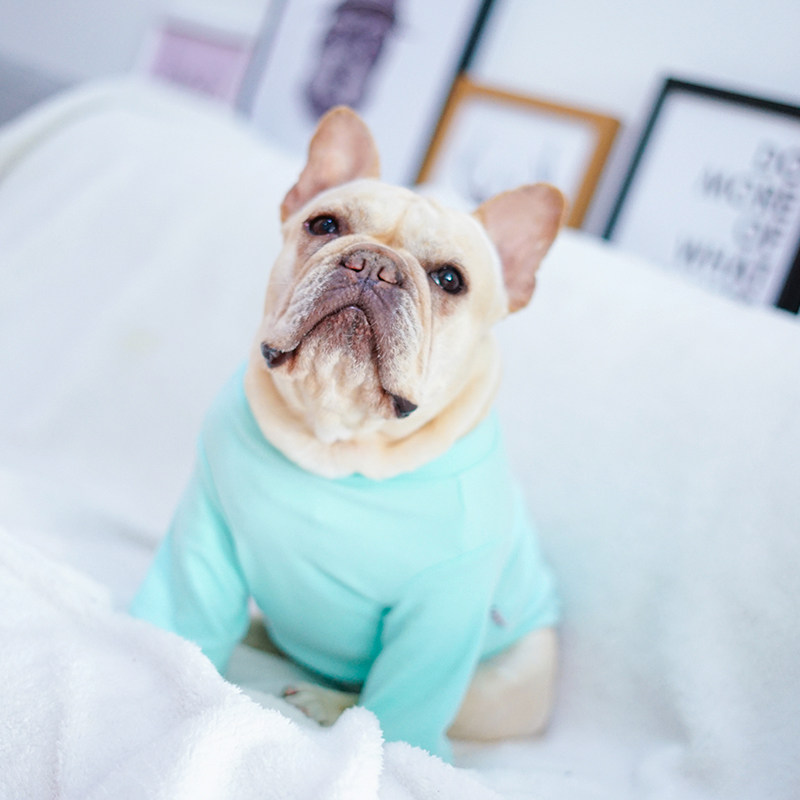 打底衣服宠物狗狗服饰巴哥泰迪法斗居家纯棉宠物服装
