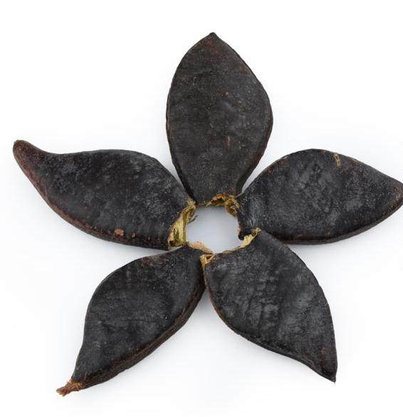 大皂角3斤包邮牙皂皂荚圆皂角500g13元中草药材其他药食同源食品