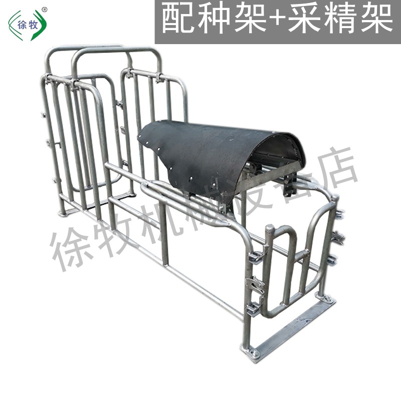 小母猪配种架 假母台 采精架热镀锌 配种器 源头厂家直销徐牧