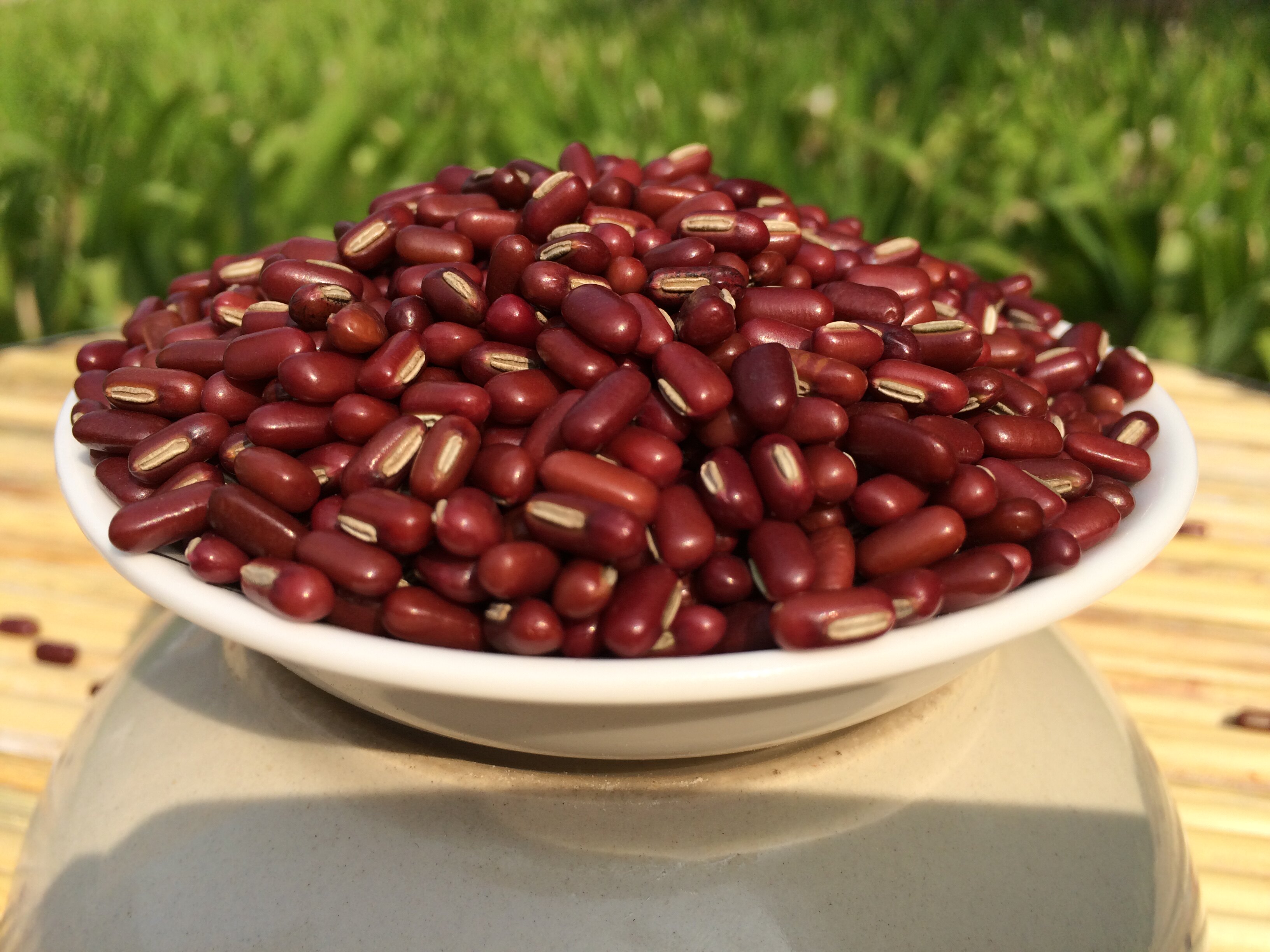 新鲜赤小豆非红小豆500克新货赤豆养生赤豆薏米粥