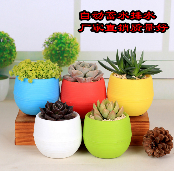 花盆叶之家盆满绿植草绿网纹石丸盆尚创意多时尚花盆