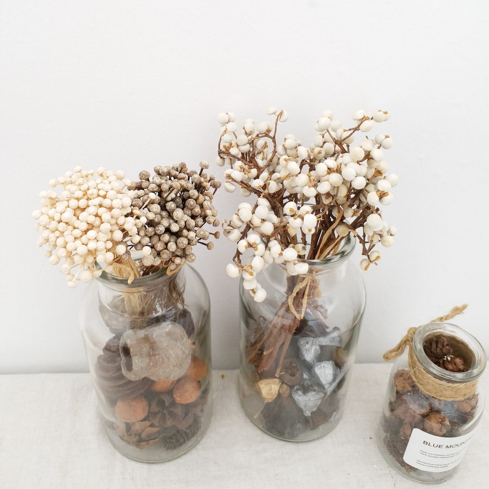 干花小白白果乌桕冬菇蘑菇草薏仁果小池池塘干花