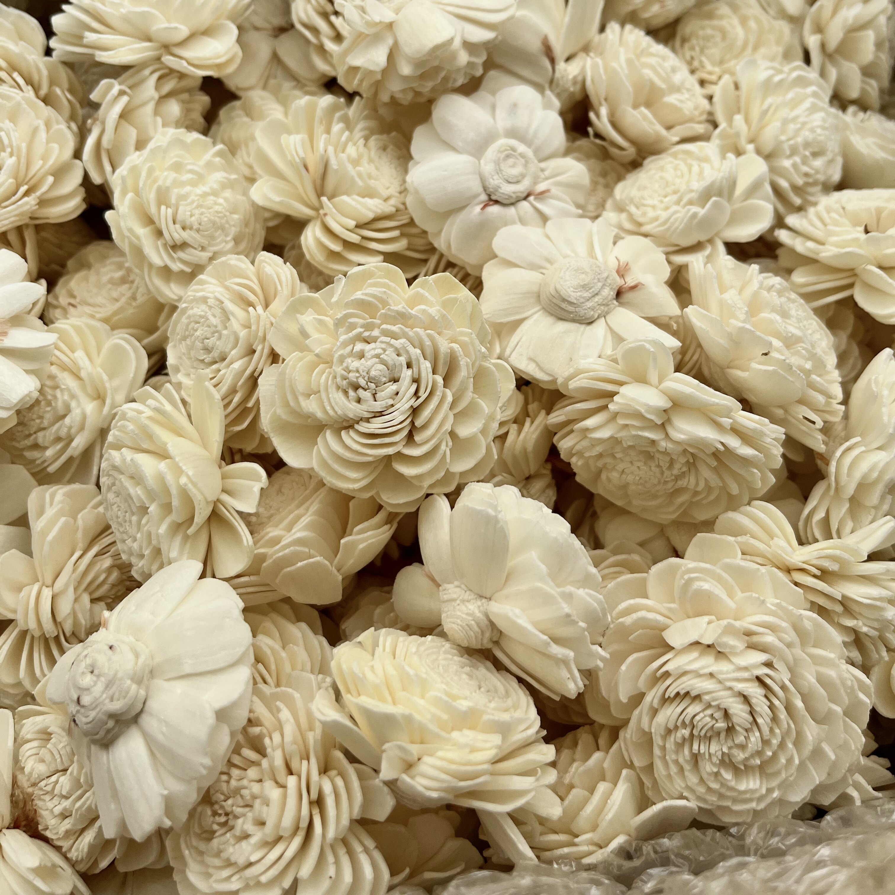 进口日本通草干花手工diy材料装饰永生花植物干花