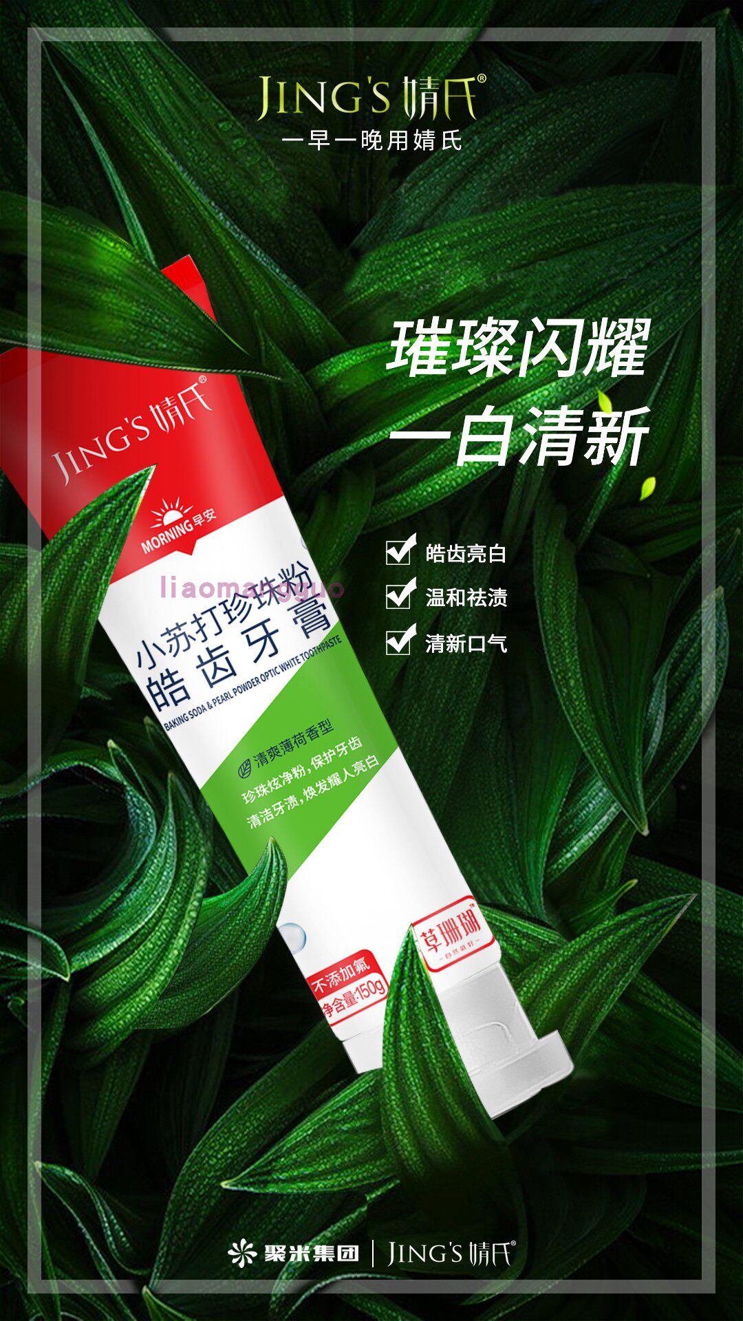 婧氏靖氏倩氏草珊瑚小苏打海盐净渍美白早晚牙膏牙膏