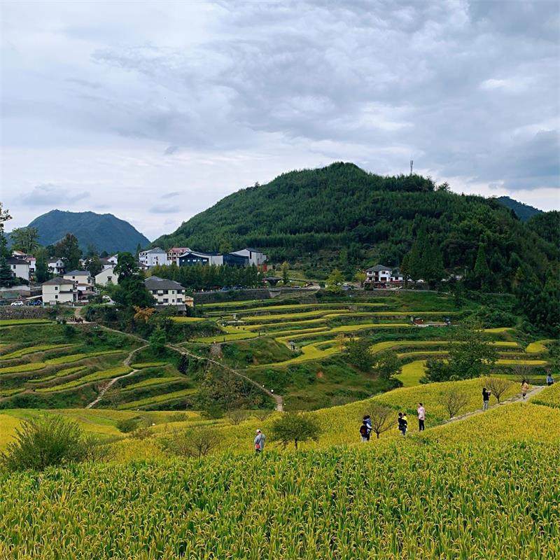 [太湖源-大门票]杭州临安太湖源景区门票