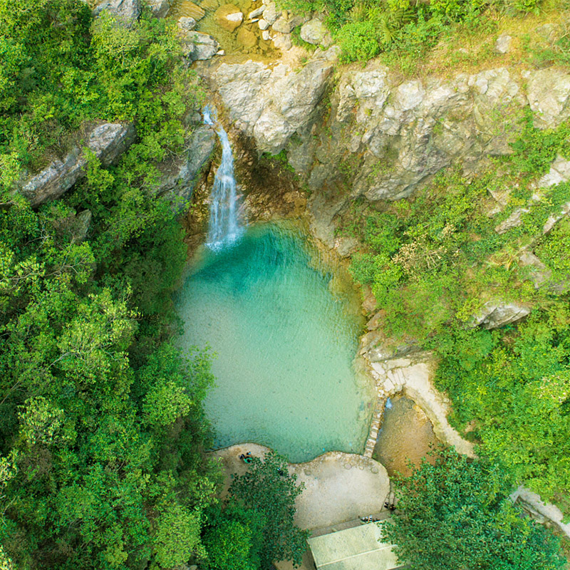 佛山南海湾森林生态园图片