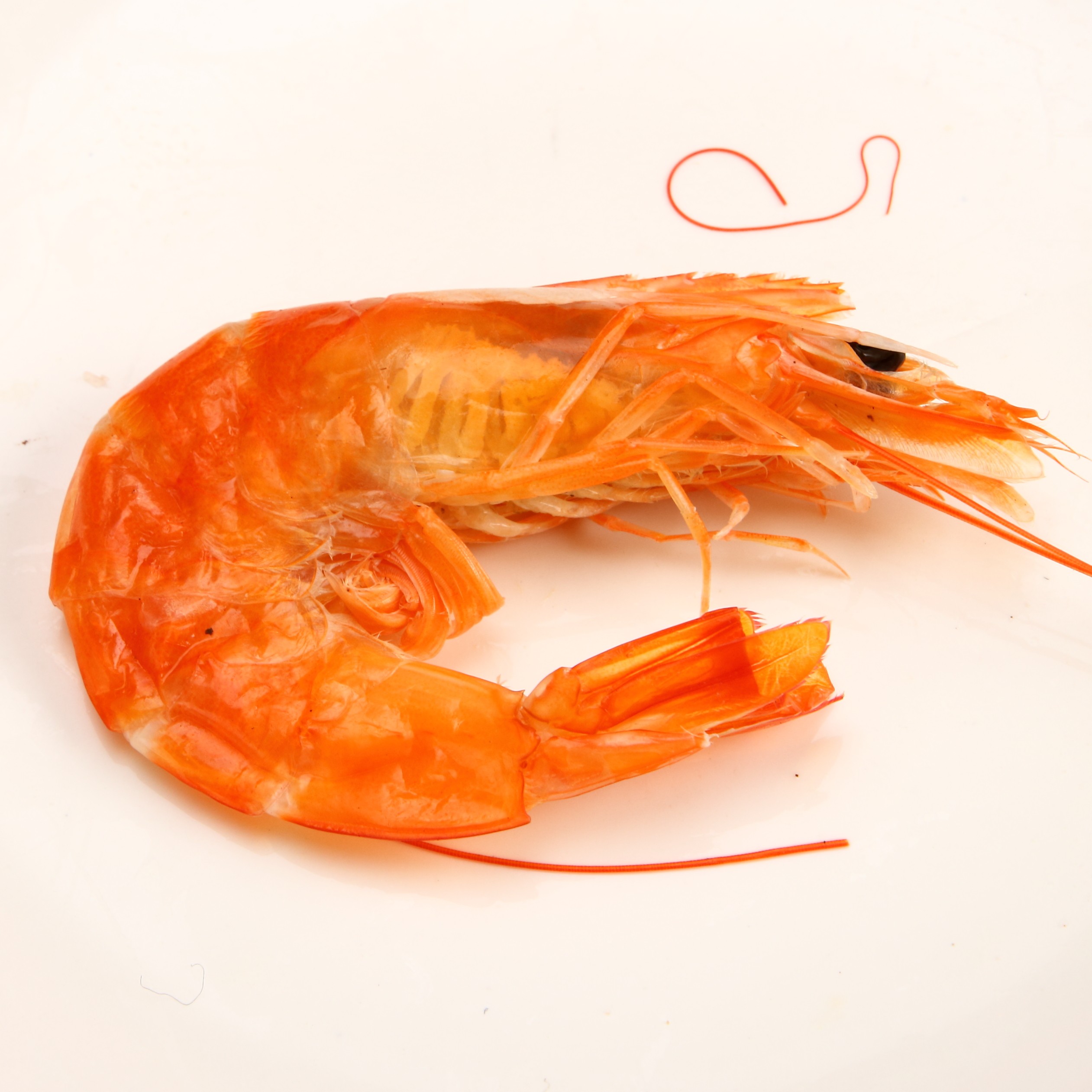 壹虎大叔个大味鲜烤虾干 大烤虾干 干虾 对虾干 烤虾9成干度50只