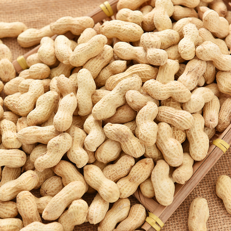 核桃味小花生带壳五香花生米熟蒜香水水煮多味生花生