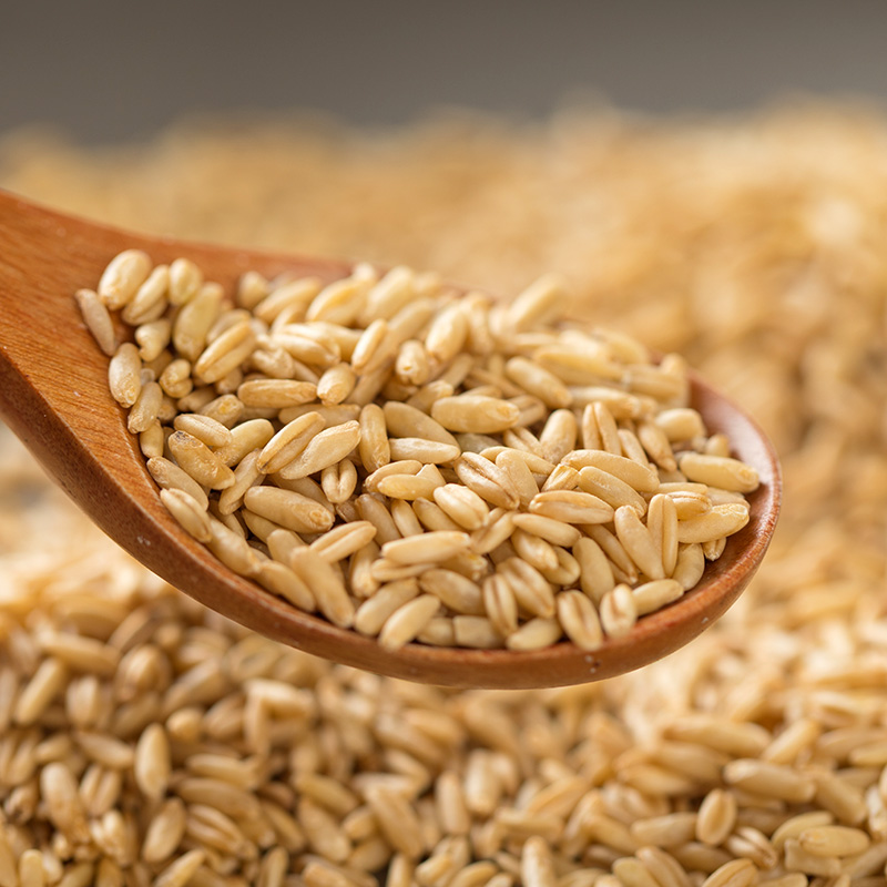 歪妈农家自种燕麦米500g粗粮五谷杂粮全胚芽新燕麦仁