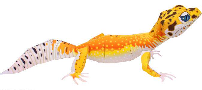 纸模制作diy手工作业益智玩具仿真两栖动物壁虎其他模型