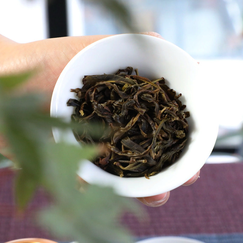 【文种】稀有品种老枞文种单丛茶高海拔桅子花香回味甘甜耐泡100g