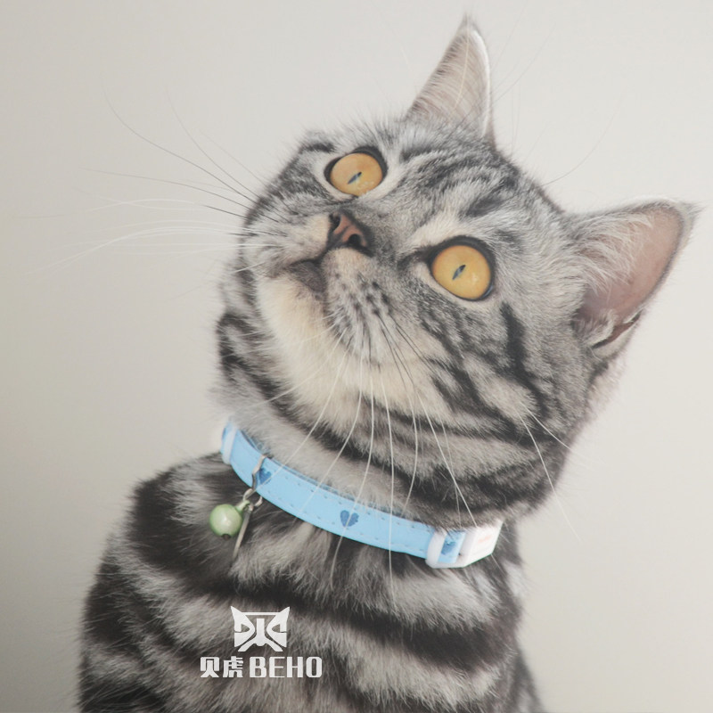 项圈日本petio地奥猫咪铃铛走失吊牌刻字安全项圈