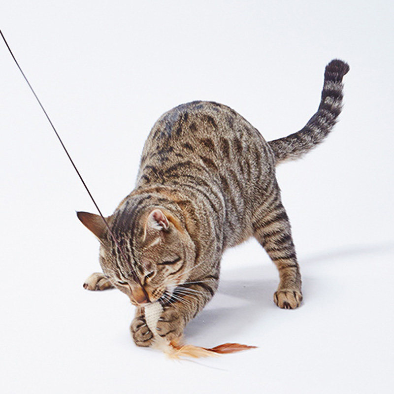 逗猫玩具日本petio大号羽毛猫咪洁齿磨牙棒猫逗猫棒