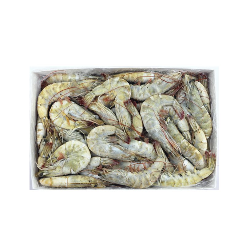 王牌盐冻厄瓜多尔白虾海虾鲜活海鲜水产大连对虾冻虾