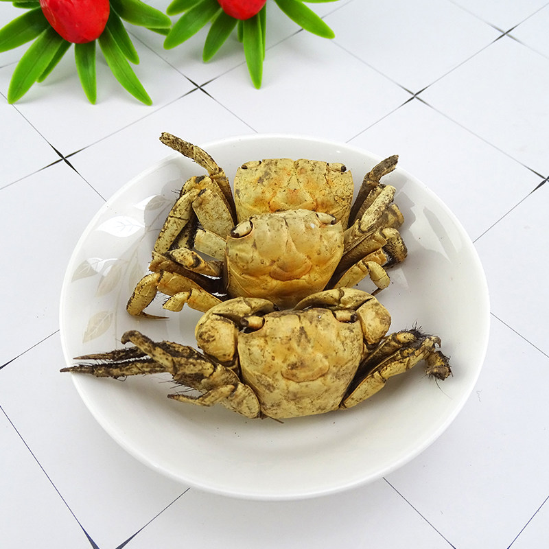 螃蟹蟹壳方海中药材可磨方500克其他药食同源食品