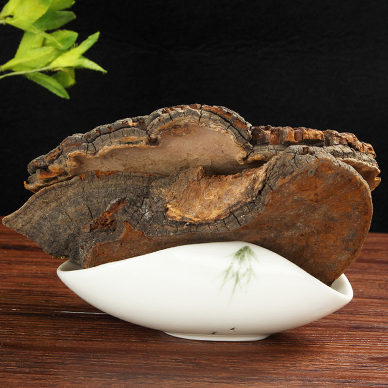 桑黄槐耳怀耳天然纯新新货中药材梅树菇桑耳桑其他药食同源食品