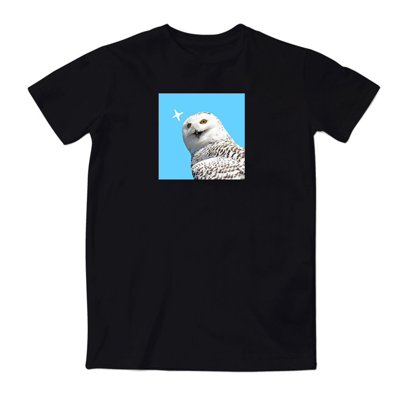 沙雕雪鸮猫头鹰乌呀w3一杠联名数码可爱爱萌t恤