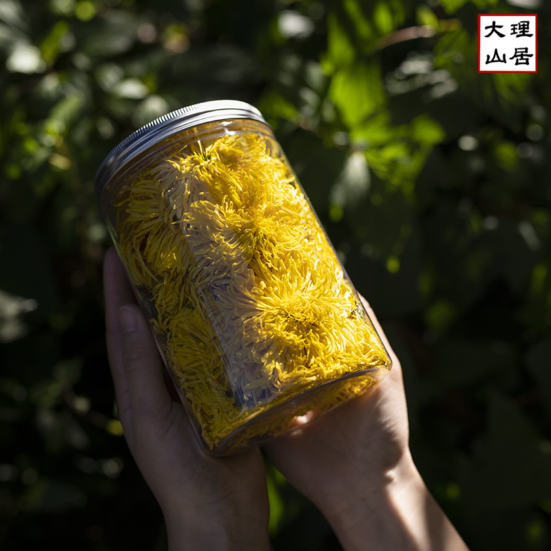 菊花大理山居金丝皇菊一朵一杯花茶花草茶修水养生茶