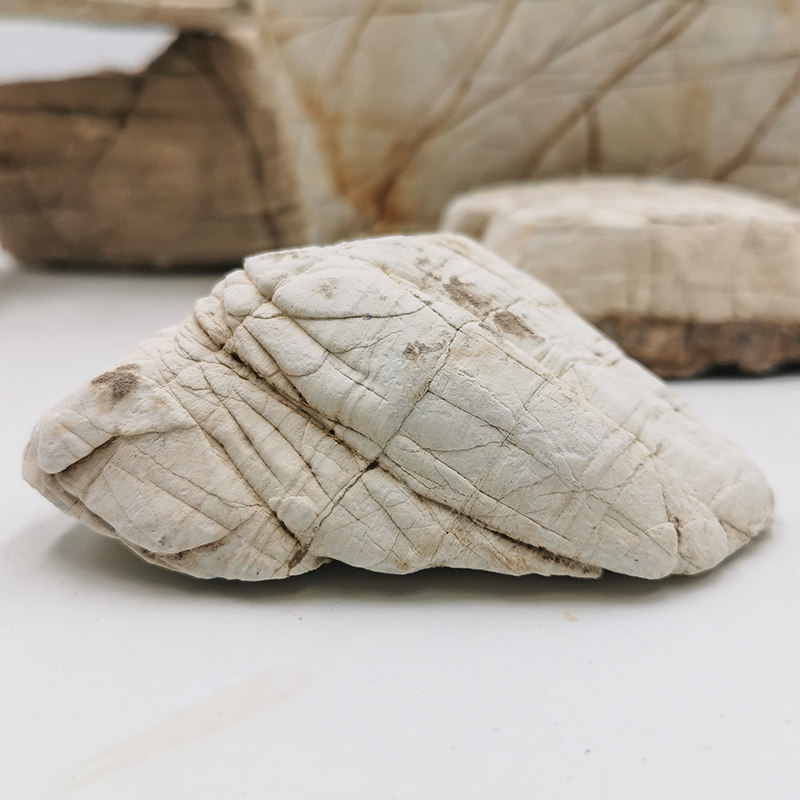 景石龟纹石天然原石小块手把件盆原生三湖慈鲷造景