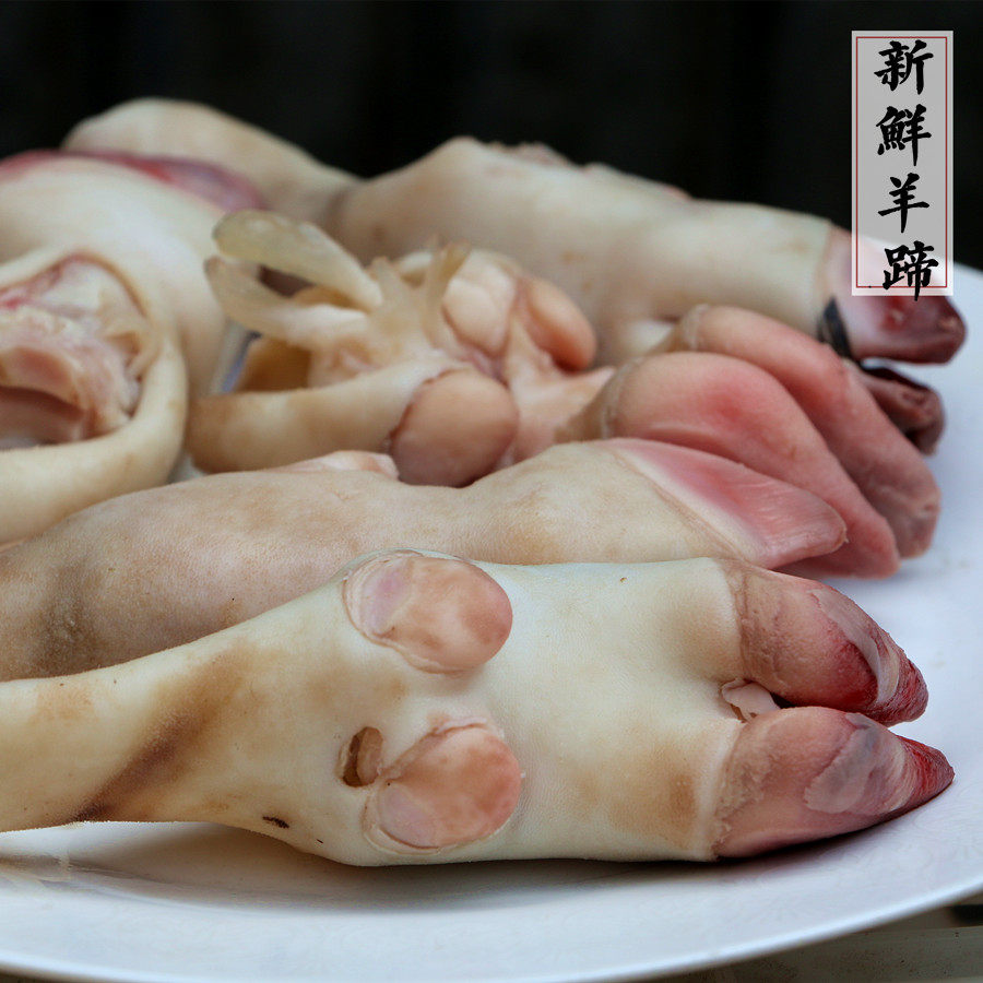 羊蹄子的奇妙魅力,一口胶原蛋白的秘密武器