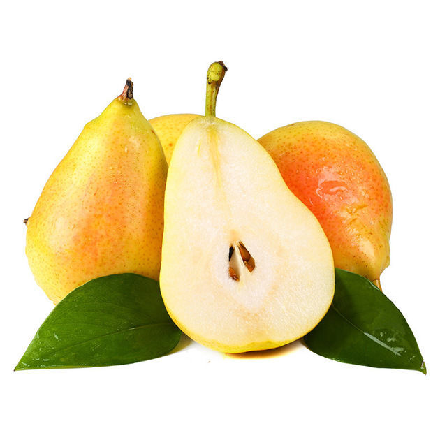 太婆茄梨果软梨大香蕉山东软梨9斤水果当季梨