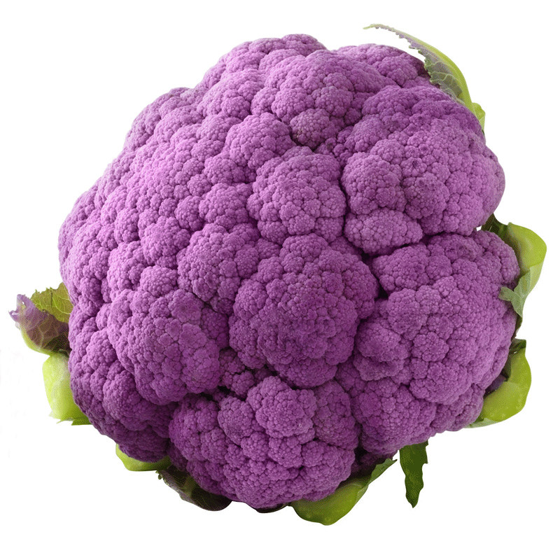 种子蔬菜西兰兰花紫色花椰菜花菜菜花种籽有机家庭园艺种子