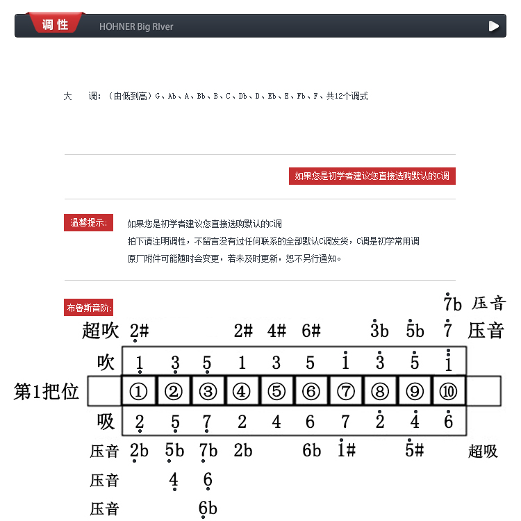大河十孔儿童成人新手入门初学口琴布鲁斯德国river口琴