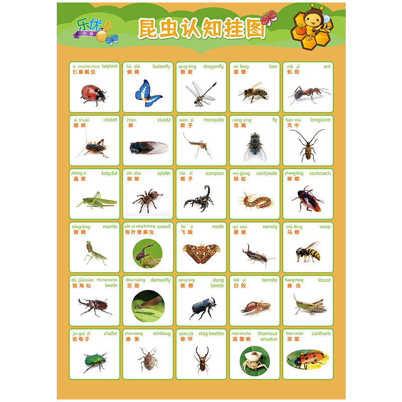 宝宝启蒙动物认知挂图无声幼儿儿童看图识字玩具挂图