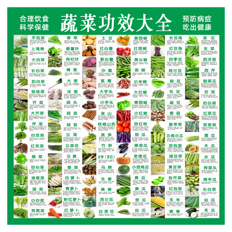 青菜名字大全图片图片