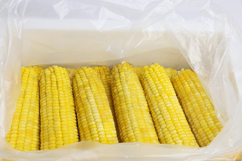 黄粘玉米天景品牌散装速冻玉米棒20根一箱12斤玉米