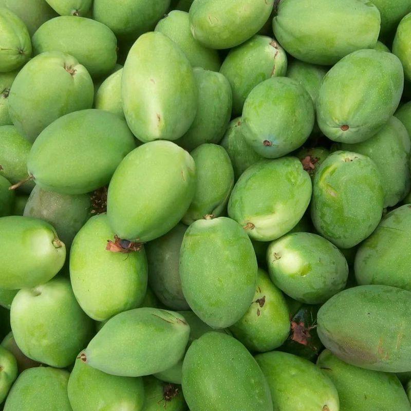 云南新鲜水果酸 生吃小木瓜白花 时鲜炒菜木瓜炒肉原料 2斤 包邮