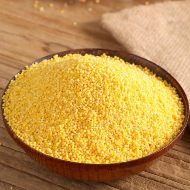 古贡小米2021新米肇源正品古龙正宗贡米月子小米